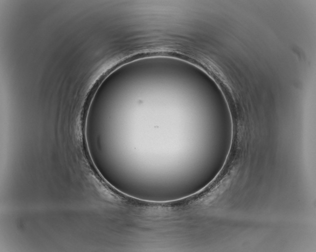 X0000111600789200907161552