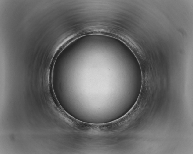 X0000111600790200907161552