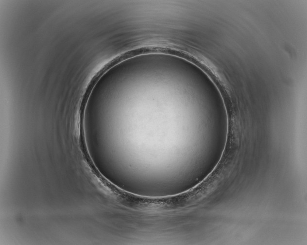 X0000111600791200907161552