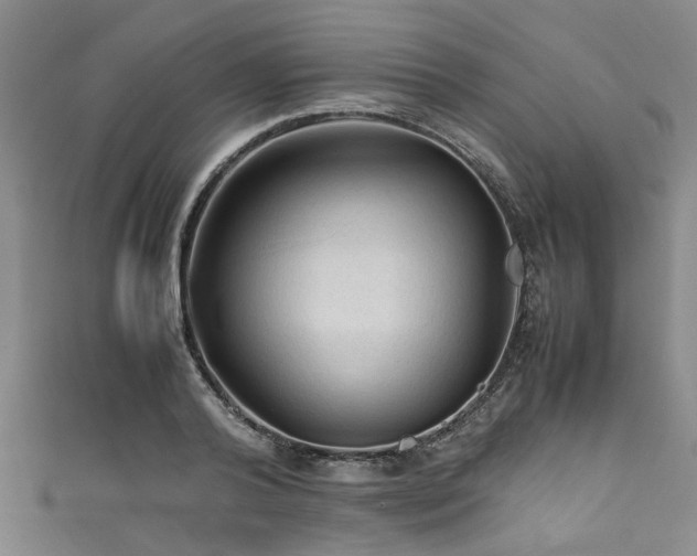 X0000111600792200907161552