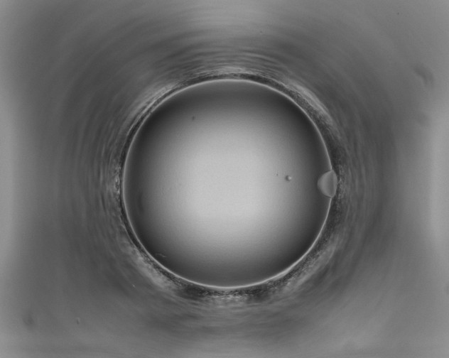 X0000111600793200907161552