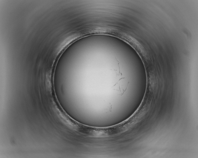 X0000111600794200907161552