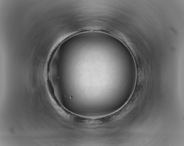 X0000111600795200907161552
