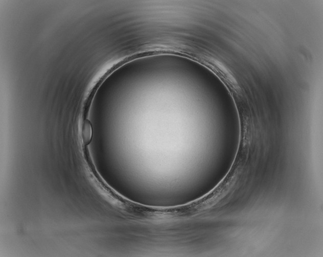 X0000111600796200907161552