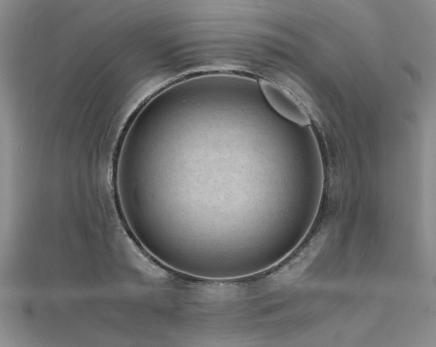 X0000111600797200907161552