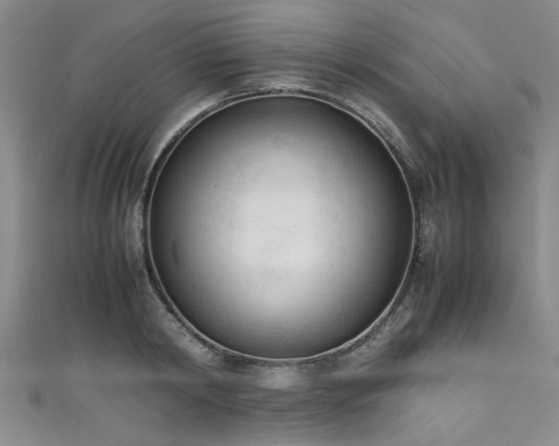 X0000111600798200907161552
