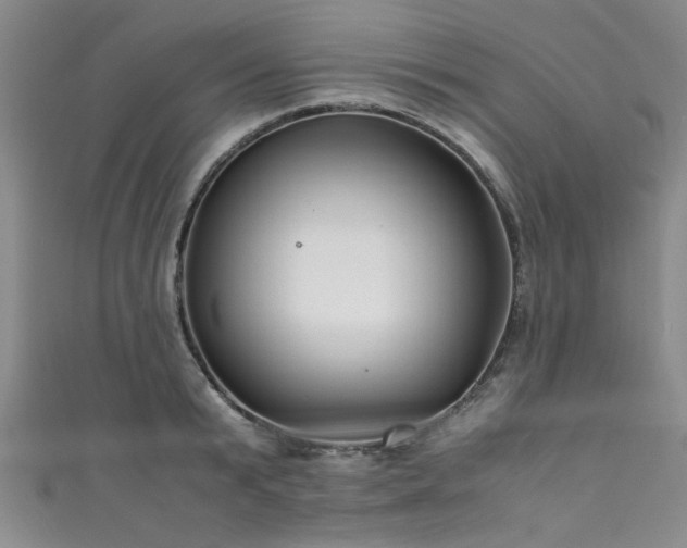 X0000111600799200907161552