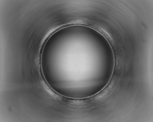 X0000111600800200907161552