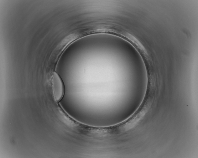 X0000111600801200907161552