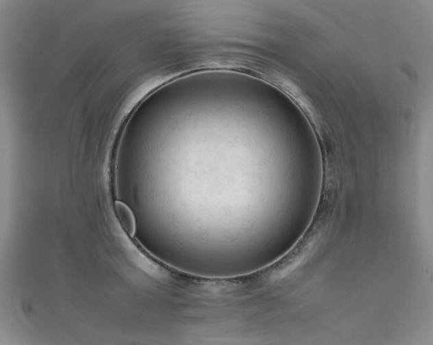 X0000111600803200907161552