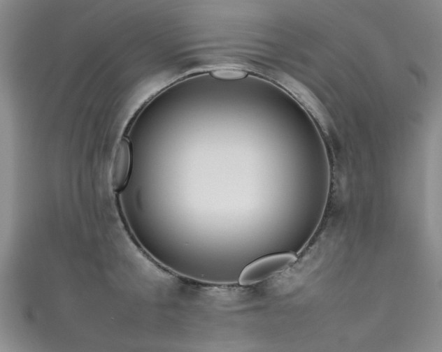 X0000111600805200907161551
