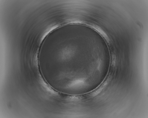 X0000111600806200907161551