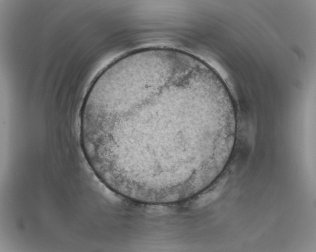 X0000111600807200907161551