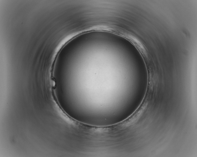 X0000111600808200907161551