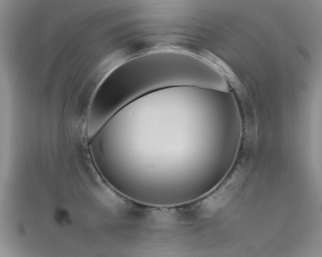X0000111600809200907161551