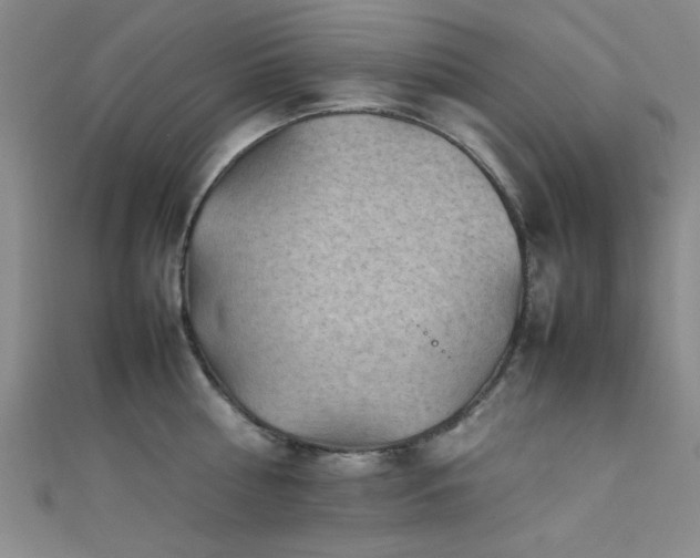 X0000111600810200907161551