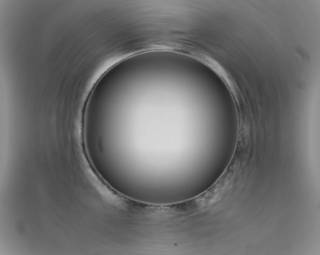 X0000111600811200907161551