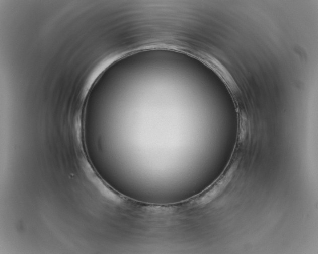 X0000111600812200907161551