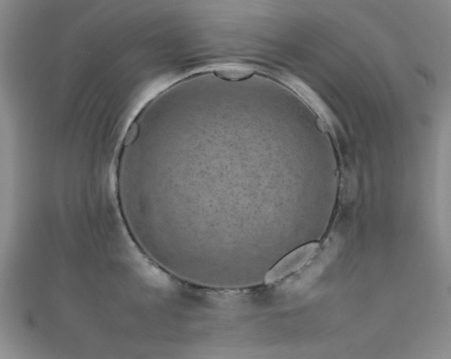 X0000111600813200907161551