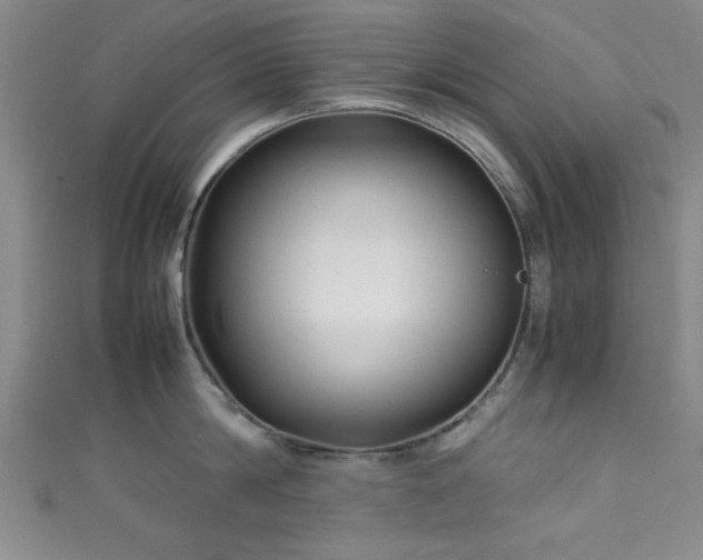 X0000111600814200907161551