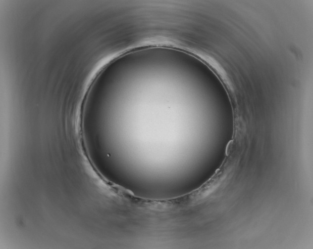 X0000111600815200907161551