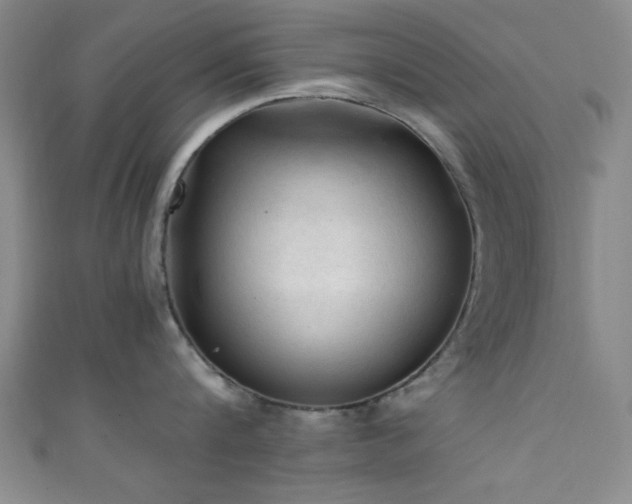 X0000111600816200907161551