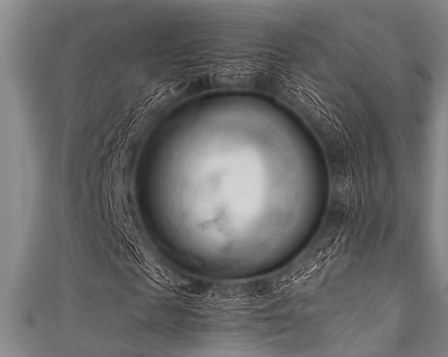 X0000111600817200907161551