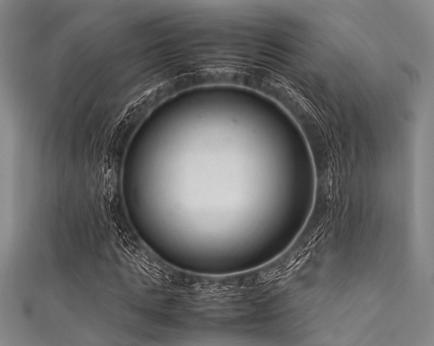 X0000111600821200907161551