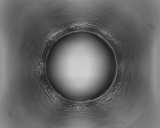 X0000111600822200907161551