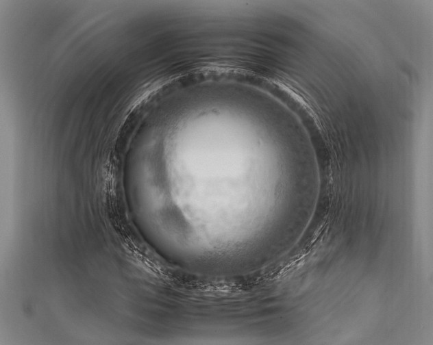 X0000111600823200907161551