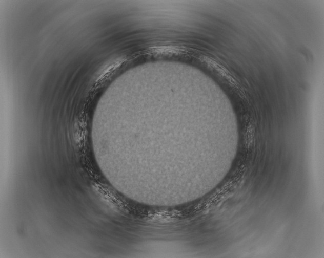X0000111600824200907161551