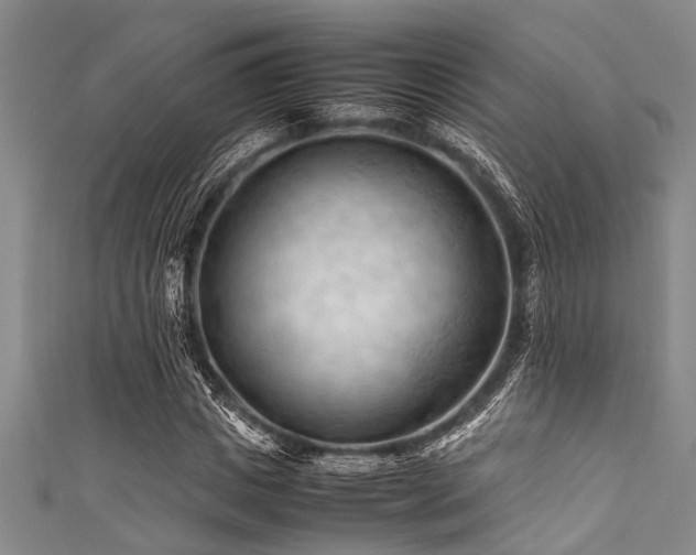 X0000111600825200907161551