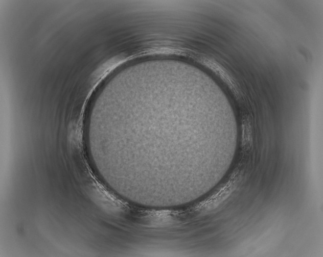 X0000111600828200907161551