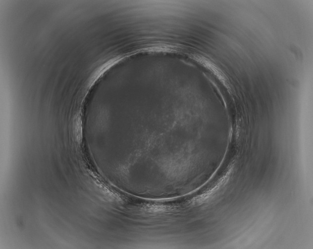 X0000111600829200907161551