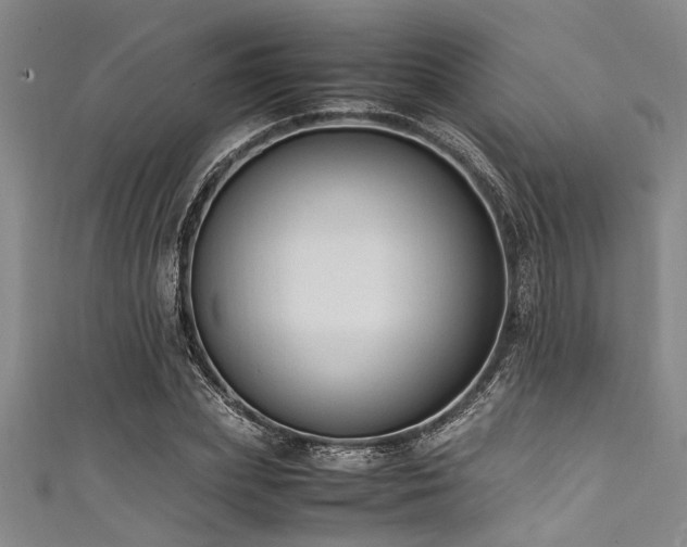 X0000111600831200907161551