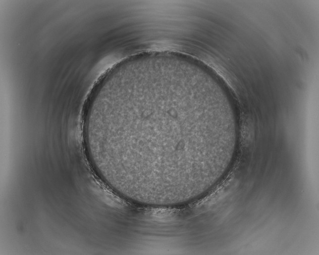 X0000111600832200907161551