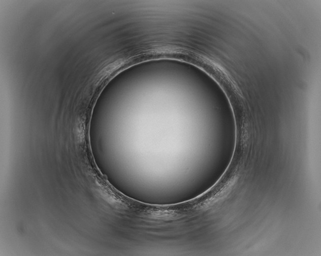 X0000111600833200907161551