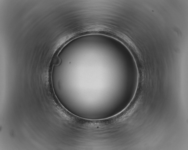 X0000111600834200907161551