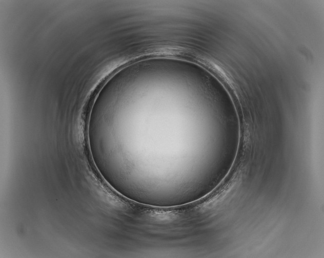 X0000111600835200907161551