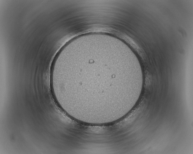 X0000111600836200907161551