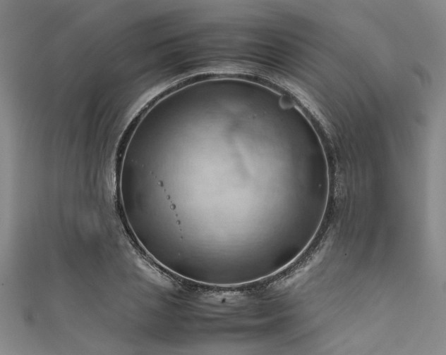 X0000111600837200907161551