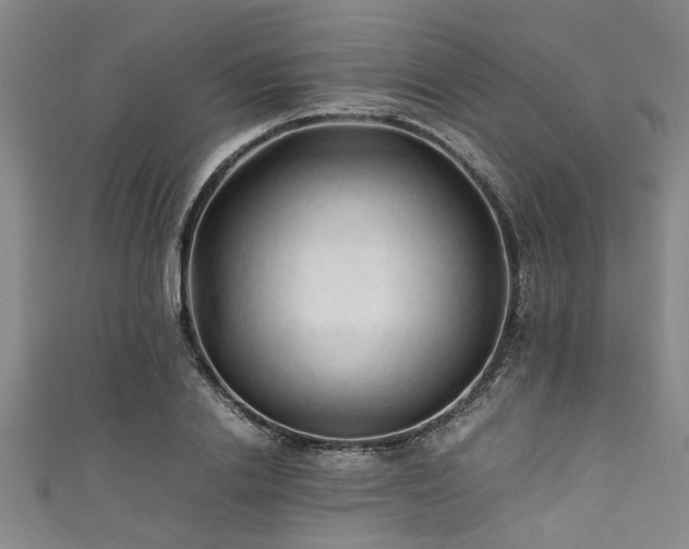 X0000111600838200907161551