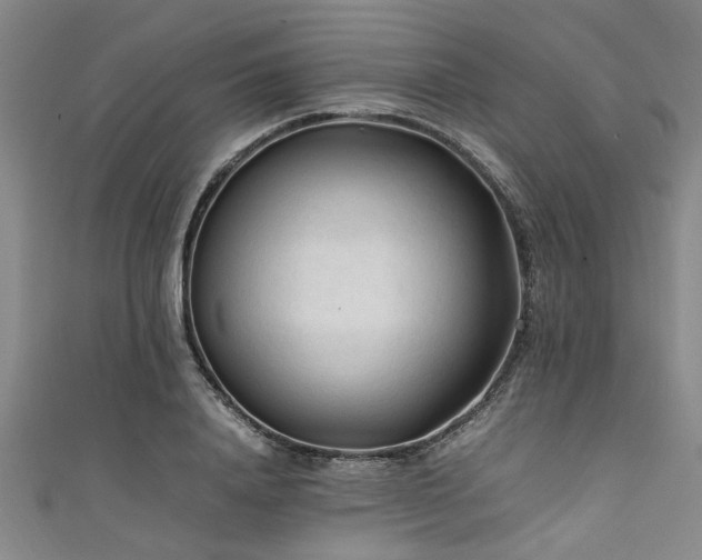 X0000111600840200907161551