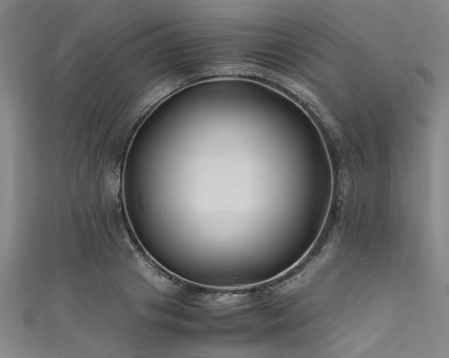 X0000111600841200907161551