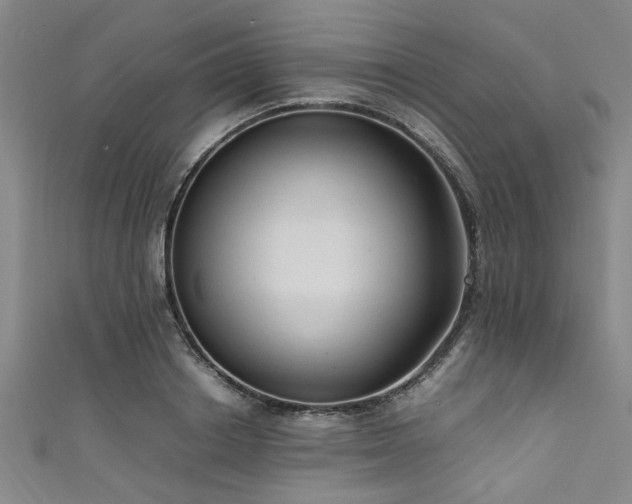 X0000111600842200907161551