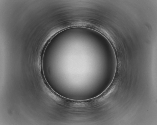 X0000111600843200907161551