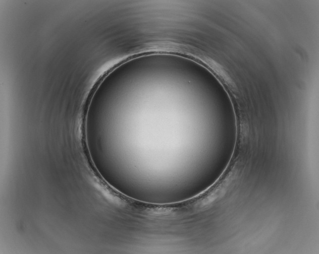 X0000111600846200907161551