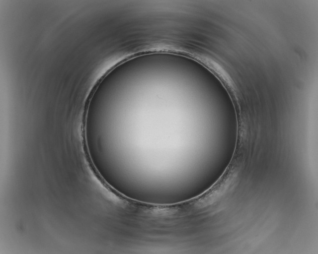 X0000111600847200907161551