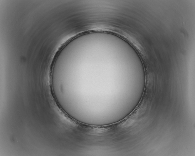 X0000111600848200907161551