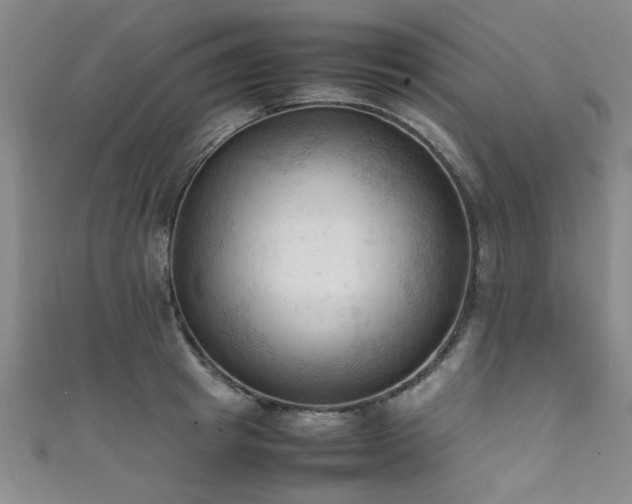 X0000111600849200907161551